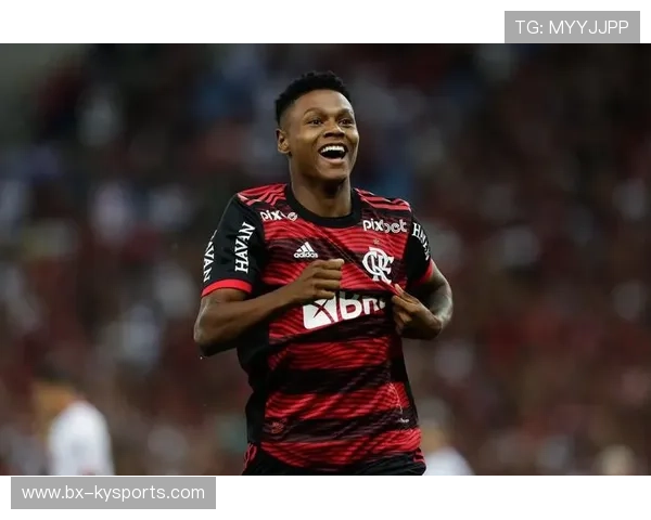 弗拉门戈球员获月度最佳，弗拉门戈足球俱乐部历史球星